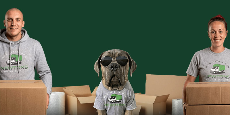 The Newtons Removals team