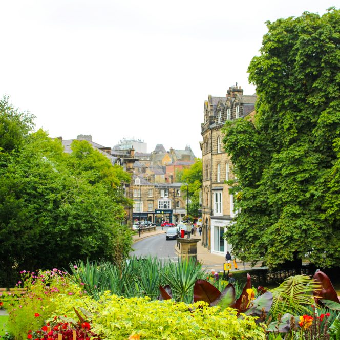 Local removal company in Harrogate