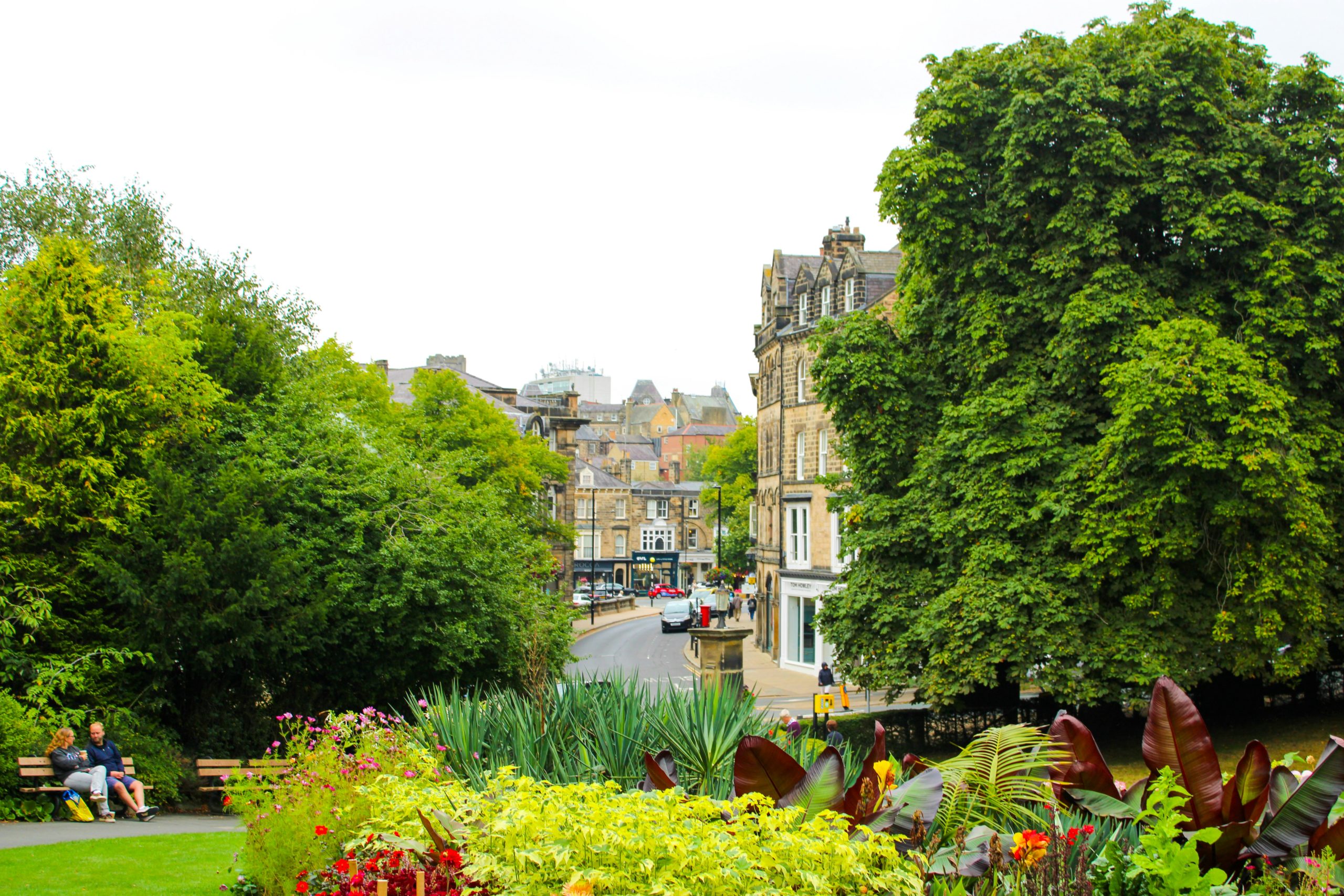 Local removal company in Harrogate